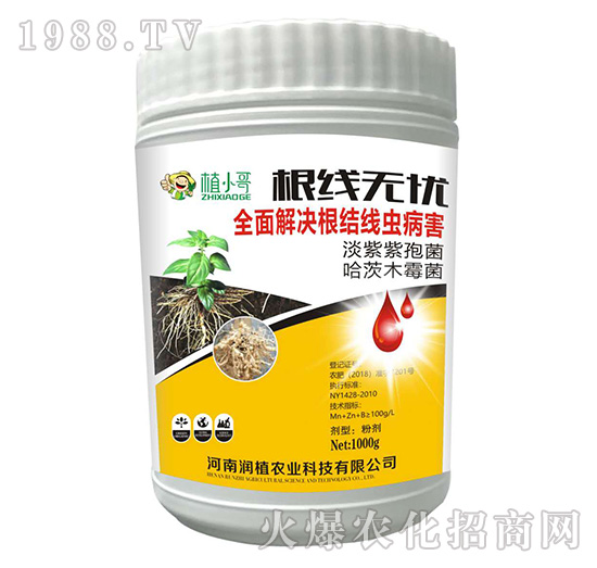 �����o(w��)�n-��(r��n)ֲ