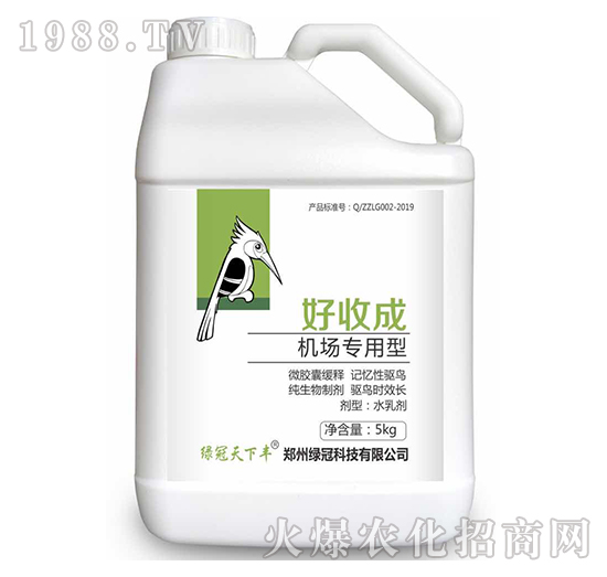 �C��������-���ճ�-�G��