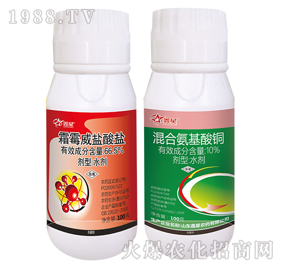 ������ݸ�������������b-����