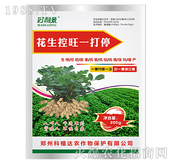 ��������һ��ͣ-������-��ֲ�_