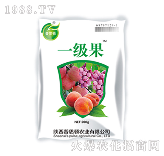 一級(jí)果-碧能-普思頓農(nóng)業(yè)