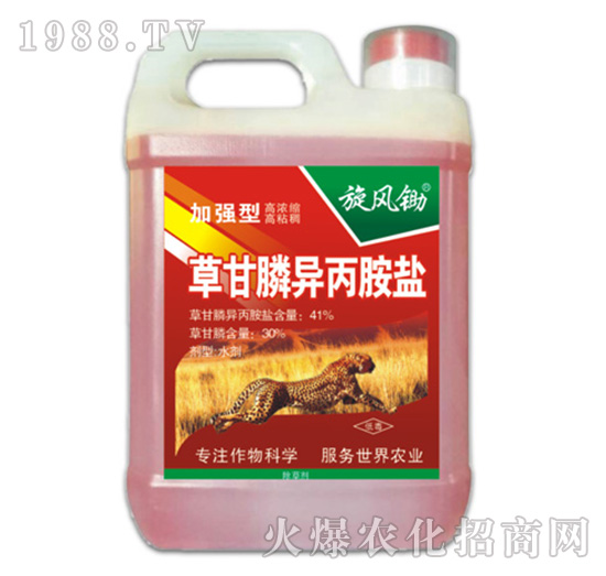 41%�ݸ�좮������}���ӏ��ͣ�-���L(f��ng)�z-�ݵ�˹