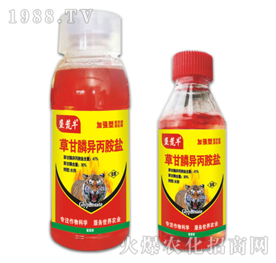 41%�ݸ�좮������}-����ţ-�ݵ�˹