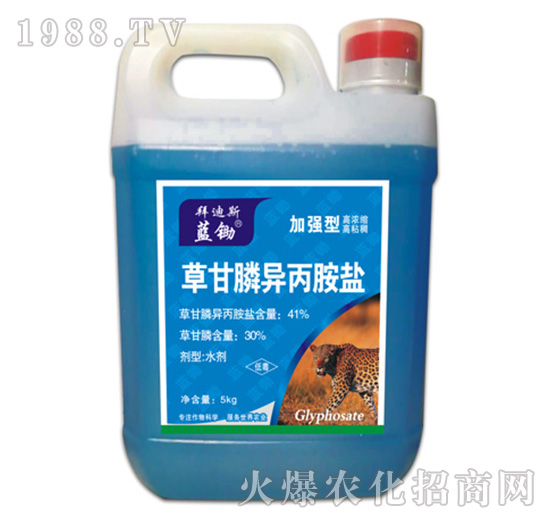 41%�ݸ�좮������}���ӏ��ͣ�-�{�z-�ݵ�˹