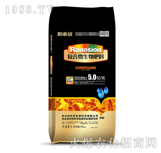 ��(f��)��΢�������-��(r��n)�r(n��ng)��