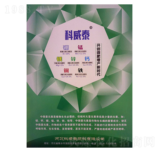 ��΢��Ԫ��-����̩