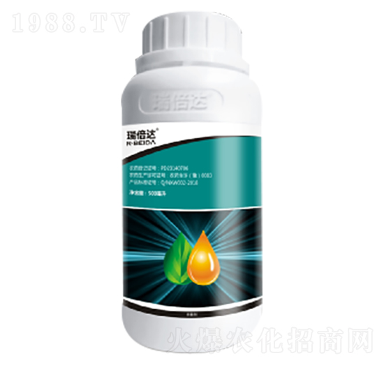 80��������-���_