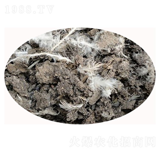 ���u�S�S��-���S����