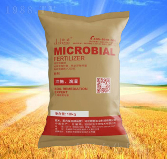 ΢����������ۄ���-�\�T�r�I(y��)