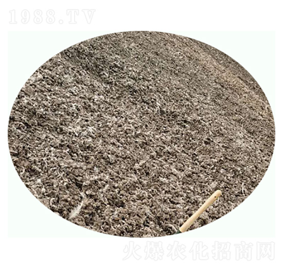 ���u�S-���|�ʘI(y��)