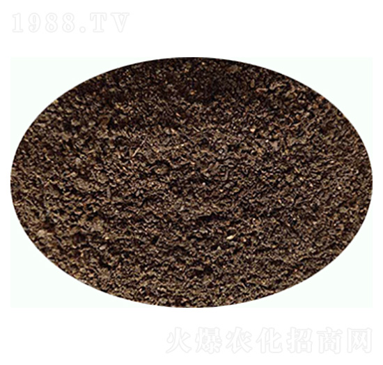 �l(f��)����S�ЙC(j��)��-���|�ʘI(y��)