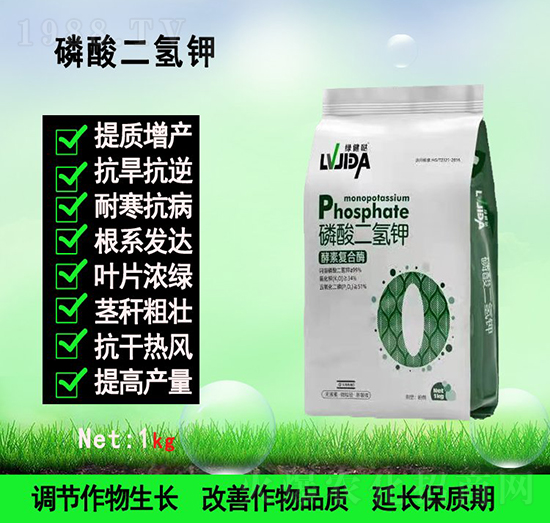 ��������-������