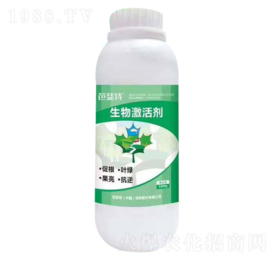 ���Ｄ�-�����