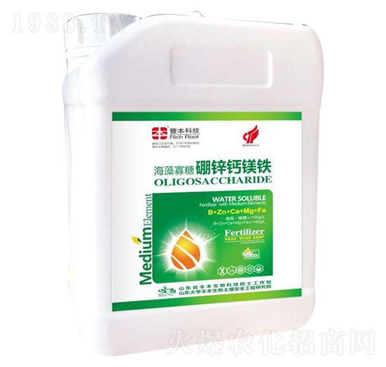 ����������\�}�V�F-�S������