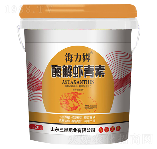 ø���r����-����ķ-���ǷʘI(y��)