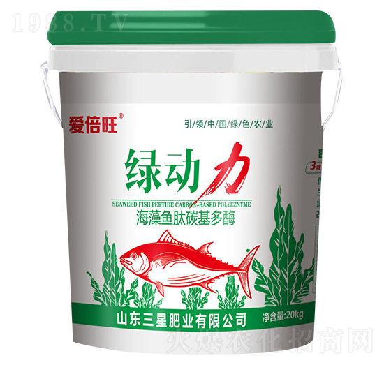 �����~��̼����ø-�G����-���ǷʘI(y��)