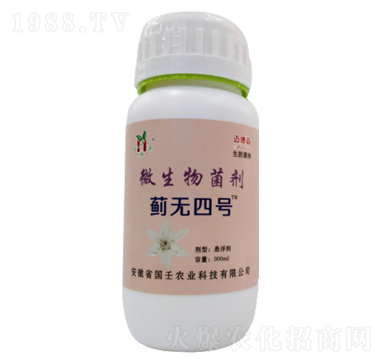 ΢�������-�E�o��̖(h��o)-��������