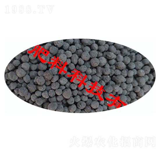 �ЙC�o�C�ͻ����-�������