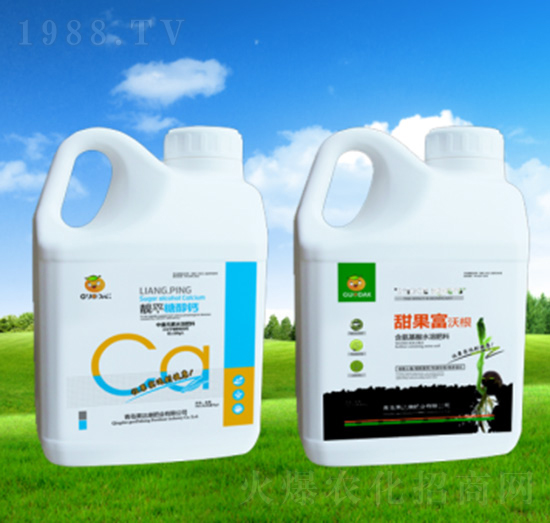 ������ָ�-���_(d��)���ʘI(y��)