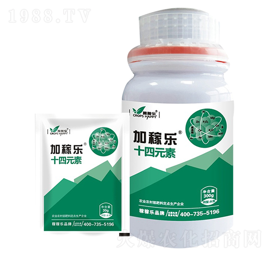 ʮ��Ԫ��-�Ӽژ�-�ڼژ�