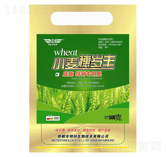 С����q�S-��������