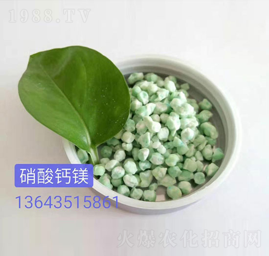 �����}�V-��������