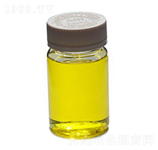 Һ�w���-ïʩ