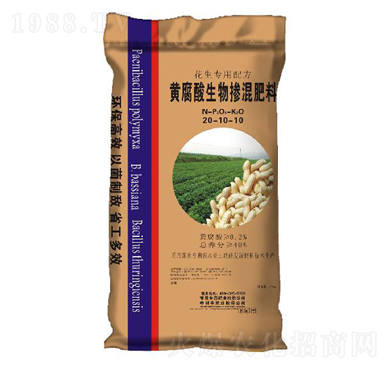 ���������S������������20-10-10-�����-�����