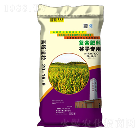 ���ӌ�(zhu��n)�ø�����(f��)�Ϸ�20-16-9-�����