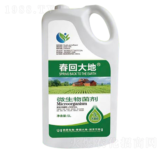 5L΢�������-���ش��-��������