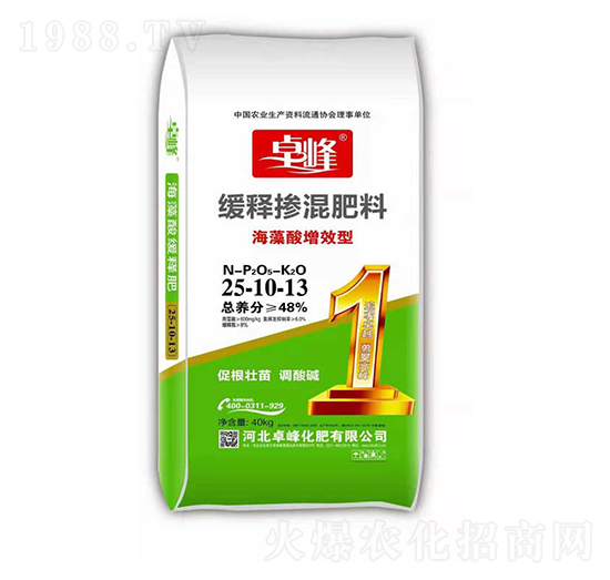 ��������Ч�;����25-10-13-׿��