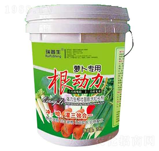 �}����(zhu��n)�ø���(d��ng)��-��������