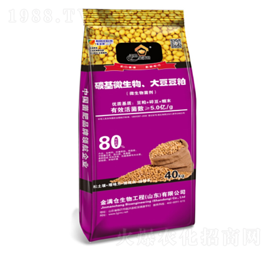 ̼��΢�������󶹶���-��M�}