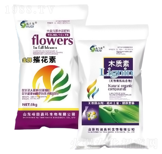 �ݻ���+ľ�|(zh��)��-ԣ��߿�