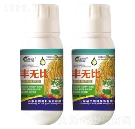 �S�o(w��)��-ʩ����-ԣ��߿�