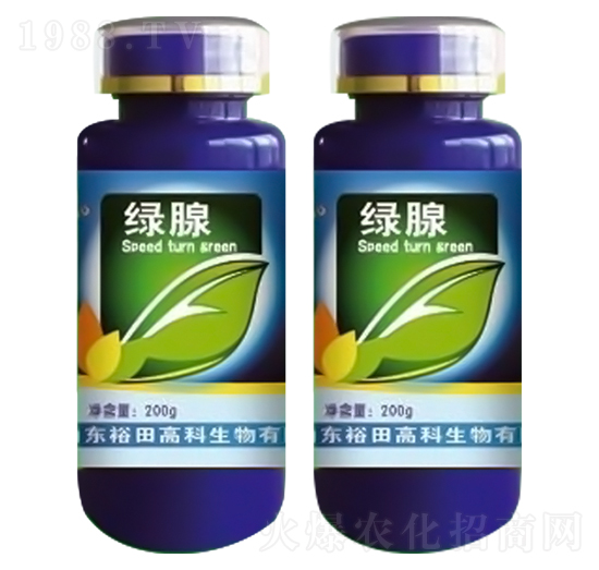 �G��-ԣ��߿�