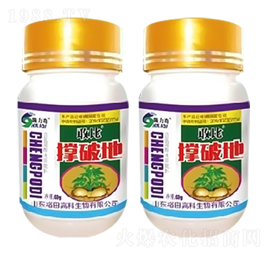 ���Ƶ�-�ұ�-ԣ��߿�