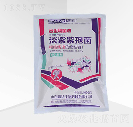 �������߾����Ƅ���-���A����