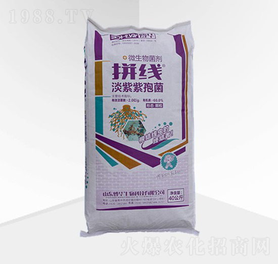 ΢�������-ƴ�����w����-���A����