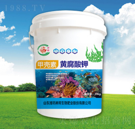 �ך����S�����-�������