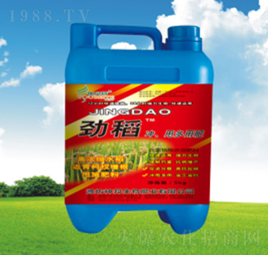 �ŵ��_ʩ��-�������