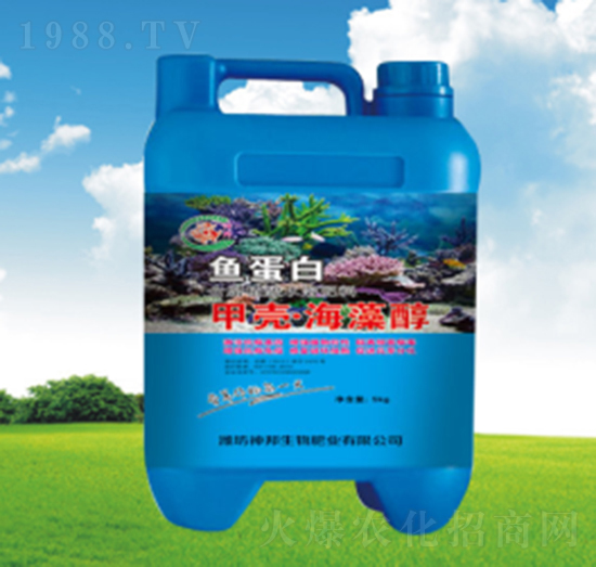 �ך����崼-�������