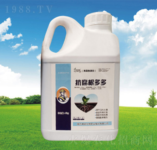 ���������-�������