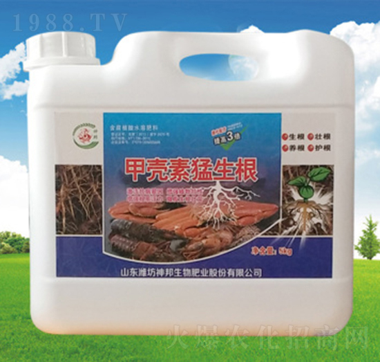 �ך���������-�������