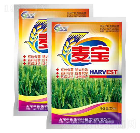 ����-ʩ����-ԣ��߿�