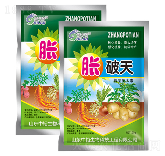 ���o�����-Û����-ԣ��߿�