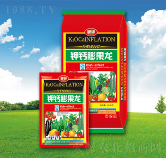 ��}�����-�������