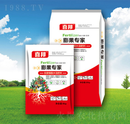 �������-�������