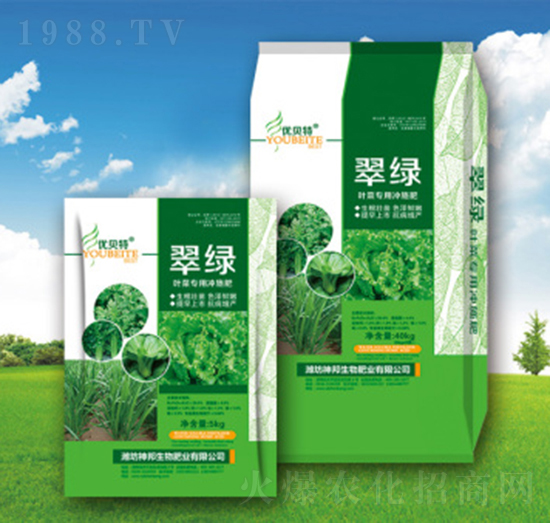 ��G�_ʩ��-�������