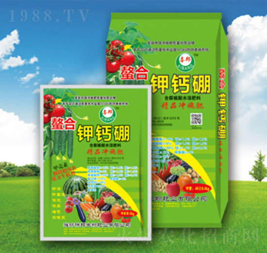 ������}��-�������